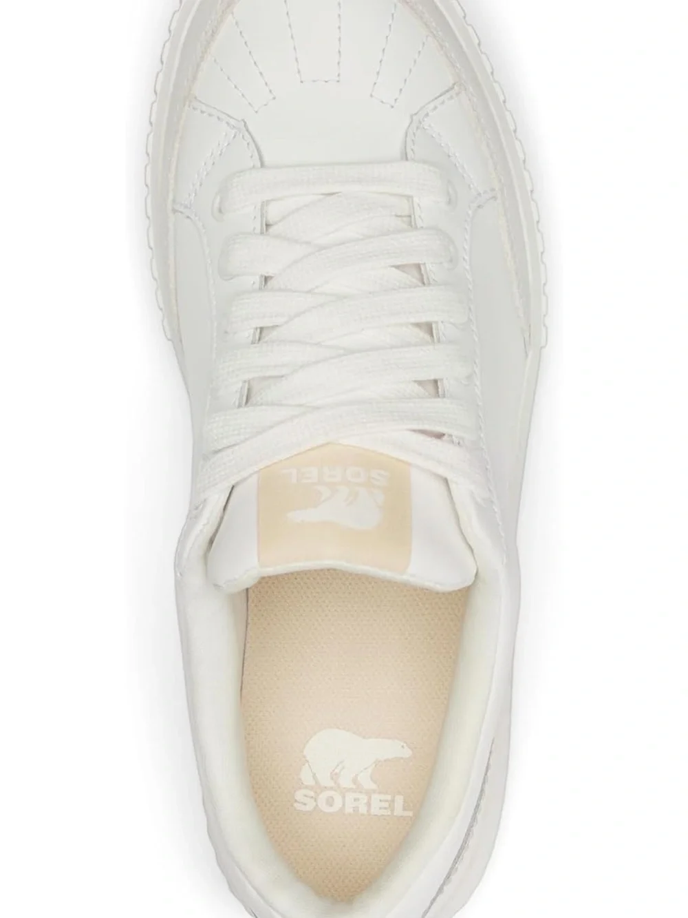 SOREL Women's ONA AVE Low Sneaker Cream/Tan Platform Lace-Up size 7 nwt